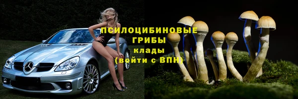 ECSTASY Аркадак