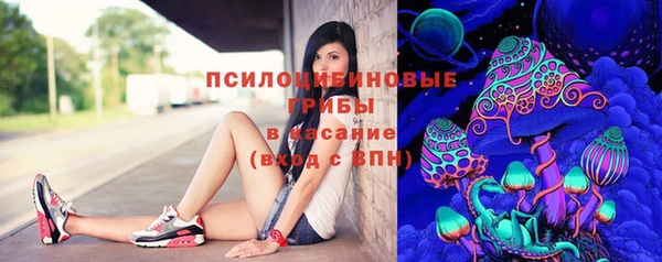 ECSTASY Аркадак