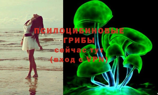 a pvp Арсеньев