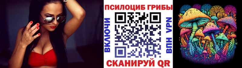 Псилоцибиновые грибы Magic Shrooms  Купить  Дмитров 